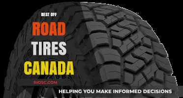 Top Off-Road Tires for Canadian Adventures: Conquer Any Terrain with Confidence