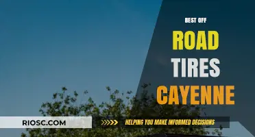 Top Off-Road Tires for Your Porsche Cayenne: Ultimate Performance and Durability