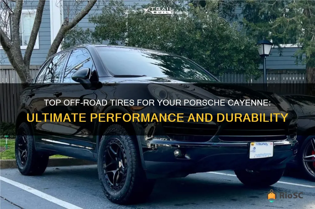 best off road tires cayenne