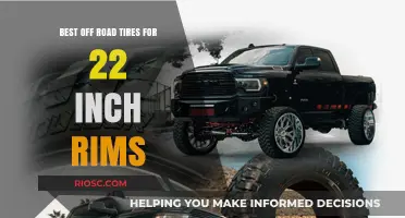 Top Off-Road Tire Picks for 22-Inch Rims: Durability Meets Performance