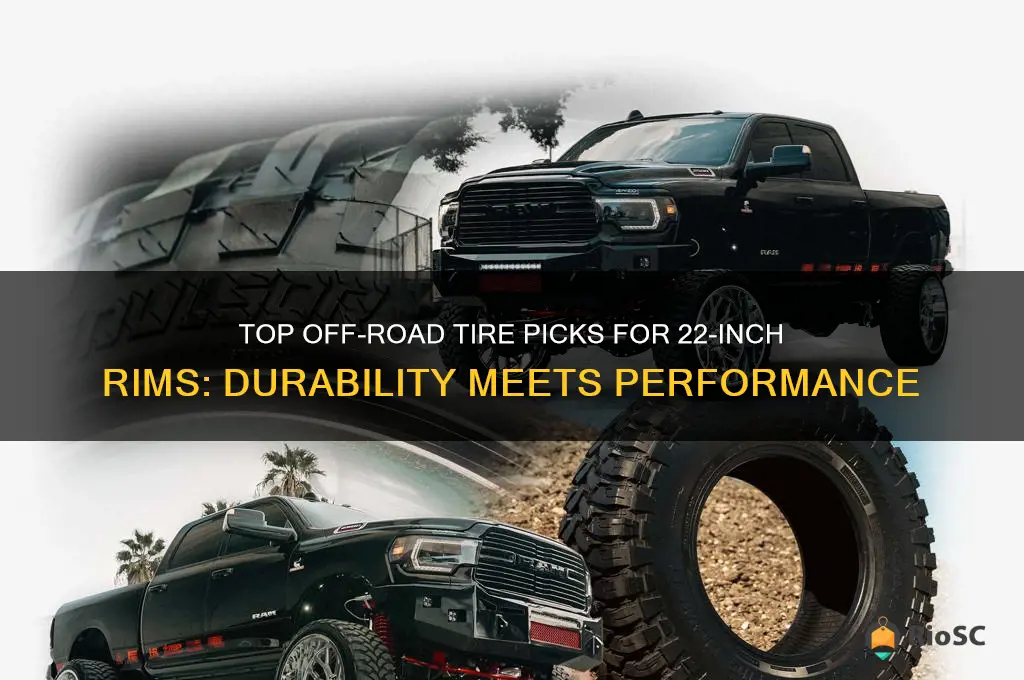 best off road tires for 22 inch rims