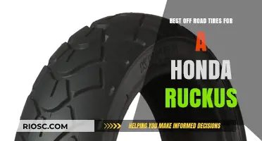 Top Off-Road Tire Picks to Transform Your Honda Ruckus into an Adventure Machine