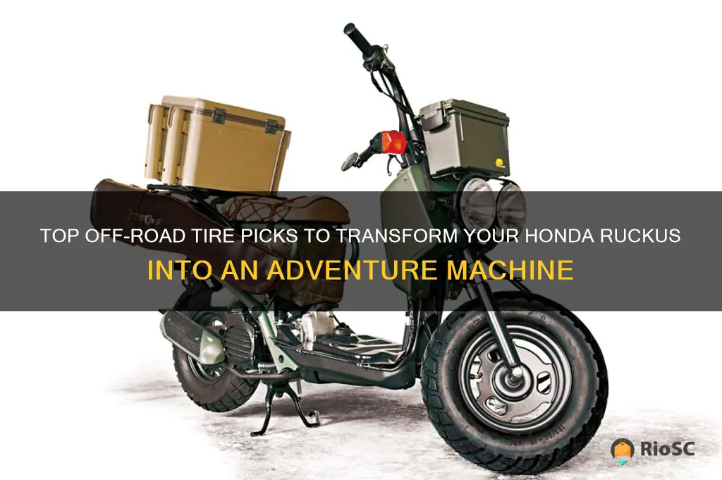 best off road tires for a honda ruckus
