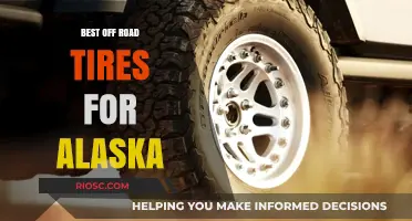 Tackling Alaska's Rugged Terrain: Top Off-Road Tires for Extreme Conditions