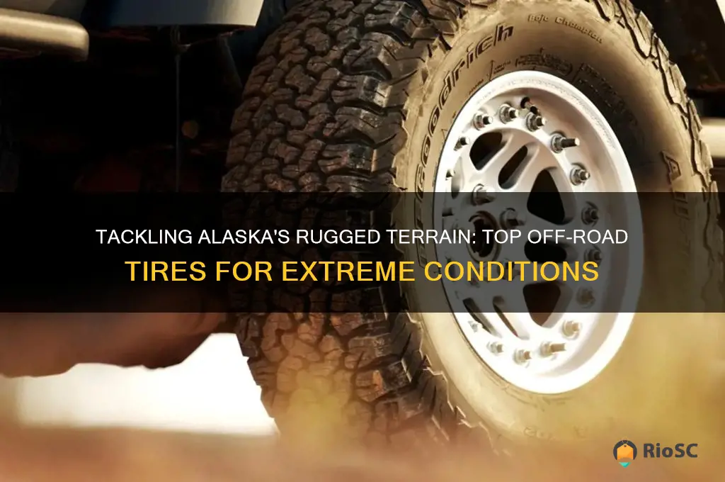 best off road tires for alaska