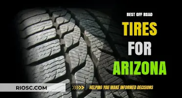 Top Off-Road Tires for Arizona's Rugged Terrain: Conquer Desert Trails and Rocky Paths