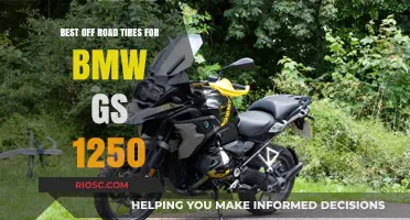 Top Off-Road Tire Picks to Enhance Your BMW R 1250 GS Adventure