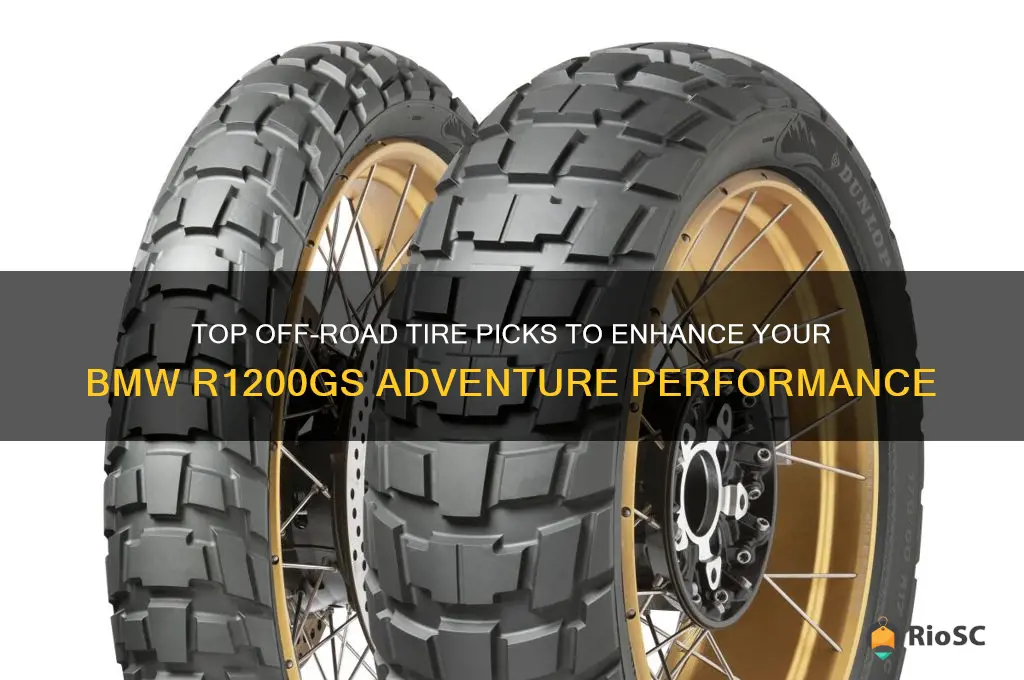 best off road tires for bmw r1200gs