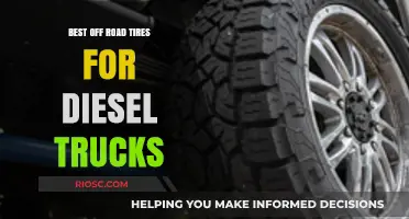 Top Off-Road Tire Picks for Diesel Trucks: Durability Meets Performance