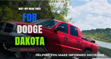Top Off-Road Tire Picks to Enhance Your Dodge Dakota's Performance and Durability