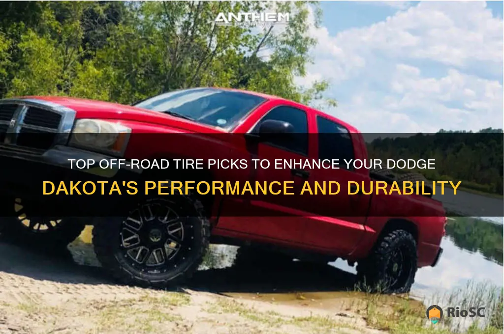 best off road tires for dodge dakota