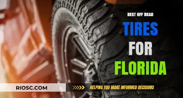 Top Off-Road Tires for Florida's Diverse Terrain: From Swamp to Sand