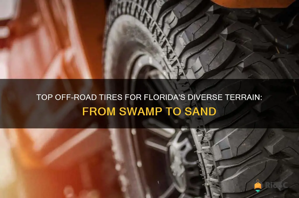 best off road tires for florida
