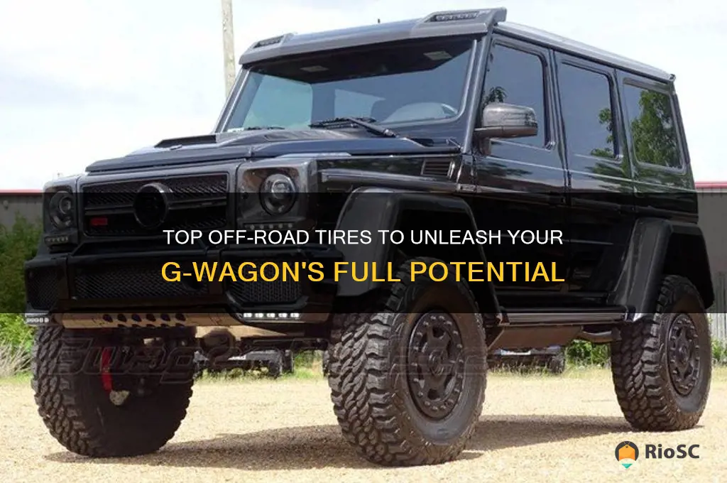 best off road tires for g wagon