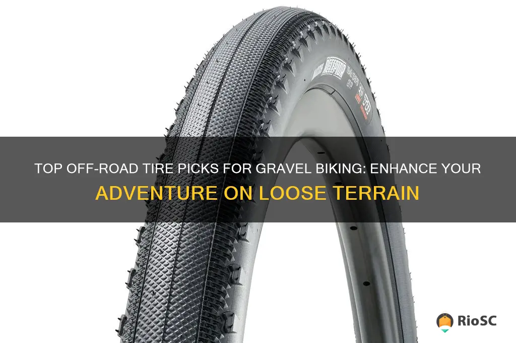 best off road tires for gravel biked