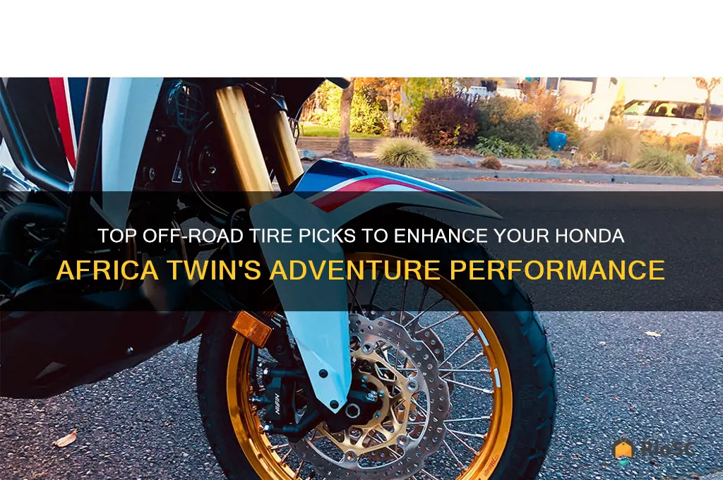 best off road tires for honda africa twin