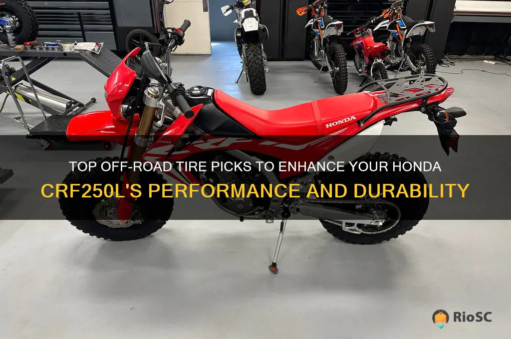 best off road tires for honda crf250l