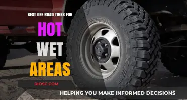 Top Off-Road Tires for Hot and Wet Climates: Durability Meets Performance