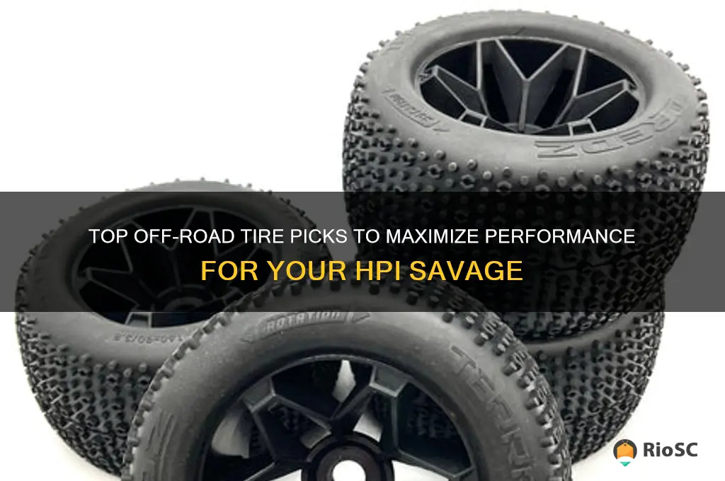 best off road tires for hpi savage