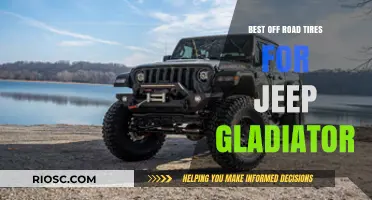 Top Off-Road Tire Picks to Maximize Your Jeep Gladiator's Adventure Potential