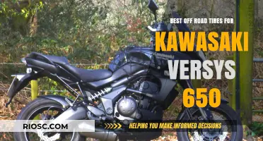 Top Off-Road Tire Picks to Enhance Your Kawasaki Versys 650's Adventure Capabilities
