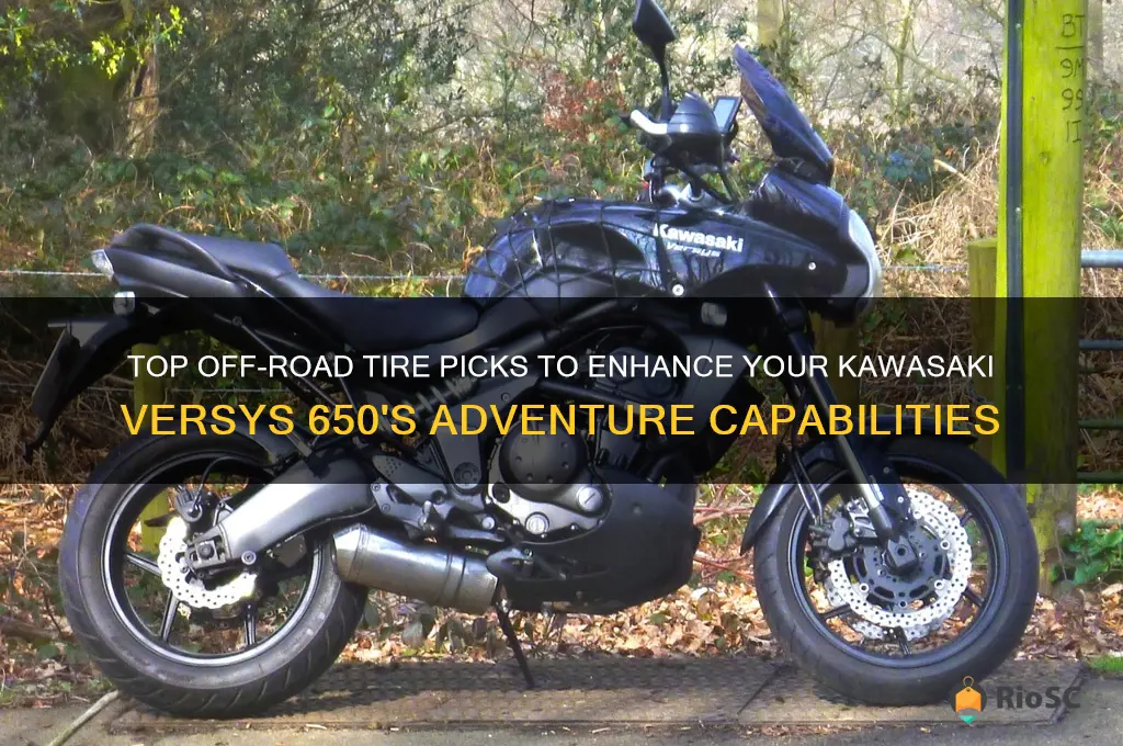 best off road tires for kawasaki versys 650