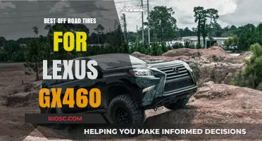 Top Off-Road Tire Picks to Enhance Your Lexus GX460's Adventure Capabilities