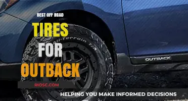 Top Off-Road Tires for Conquering the Australian Outback: Durability Meets Performance