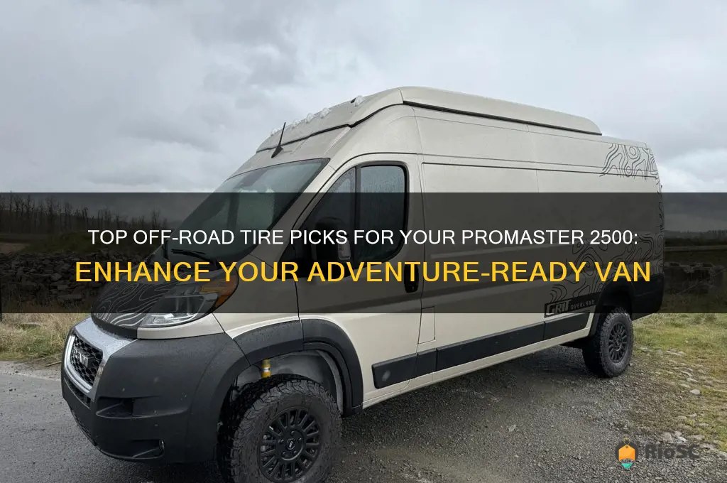 best off road tires for promaster 2500