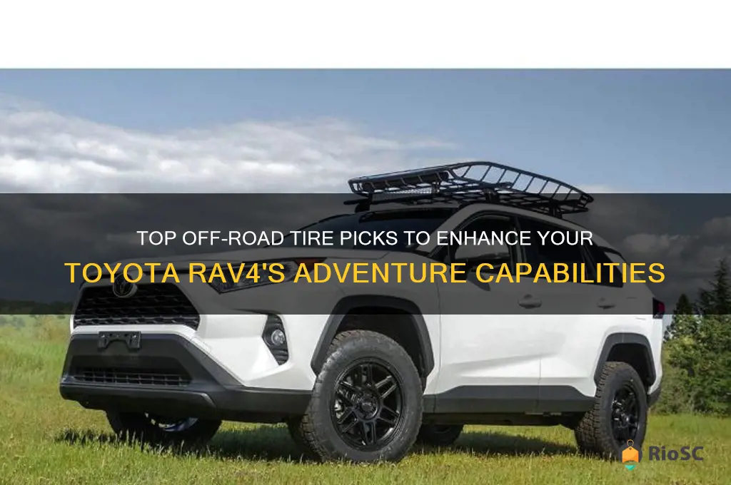 best off road tires for rav4
