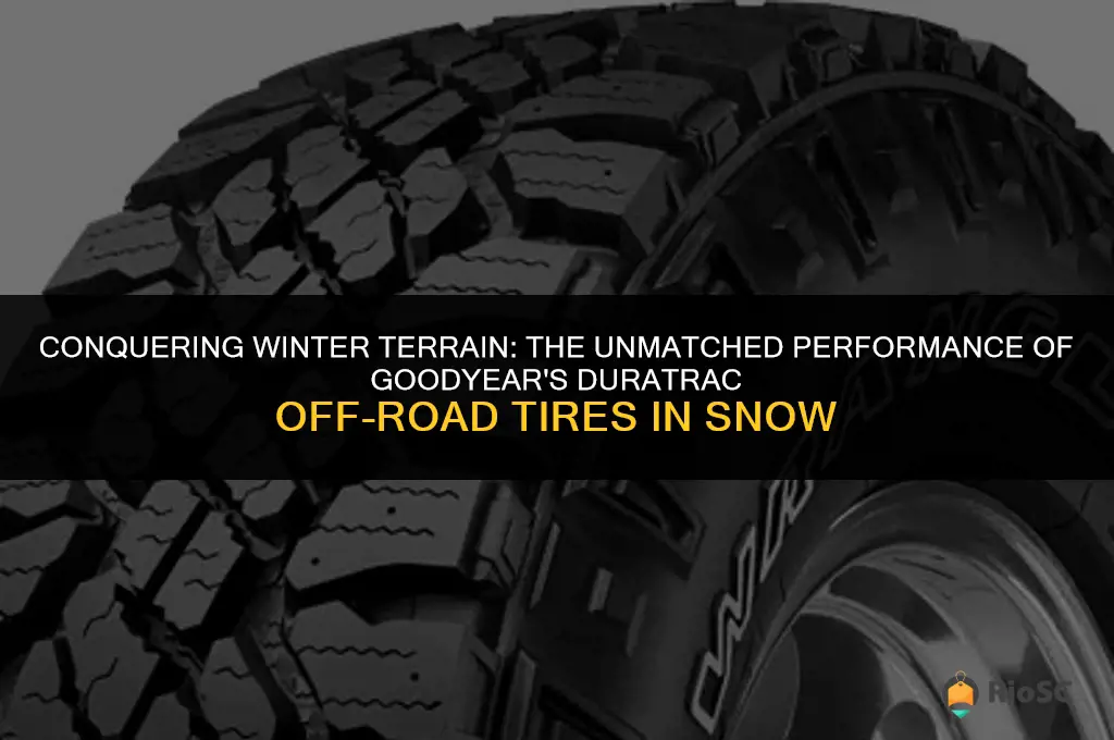 best off road tires for snow duratrac