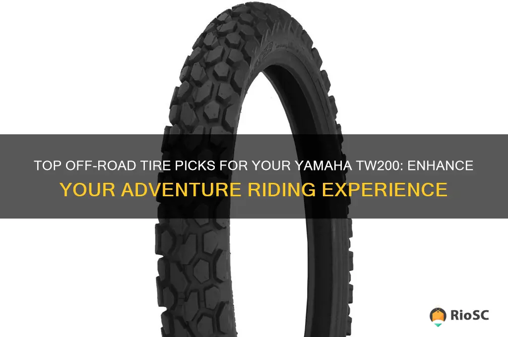best off road tires for tw200