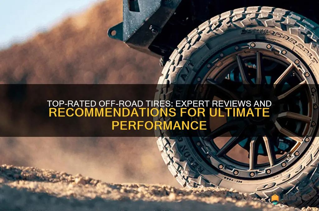 best off road tires reviews