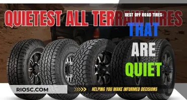 Top Quiet Off-Road Tires for a Smooth and Silent Adventure