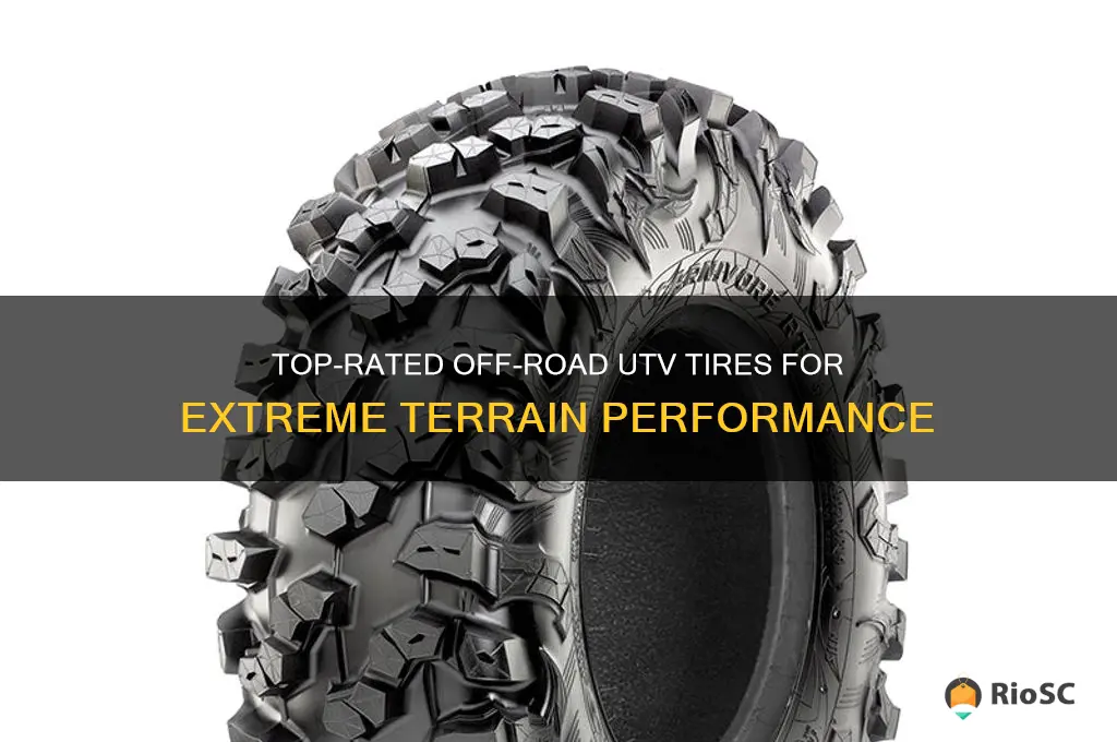 best off road utv tires