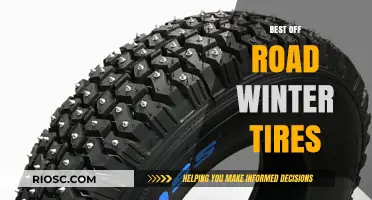 Conquer the Winter Terrain: Top Picks for Off-Road Winter Tires
