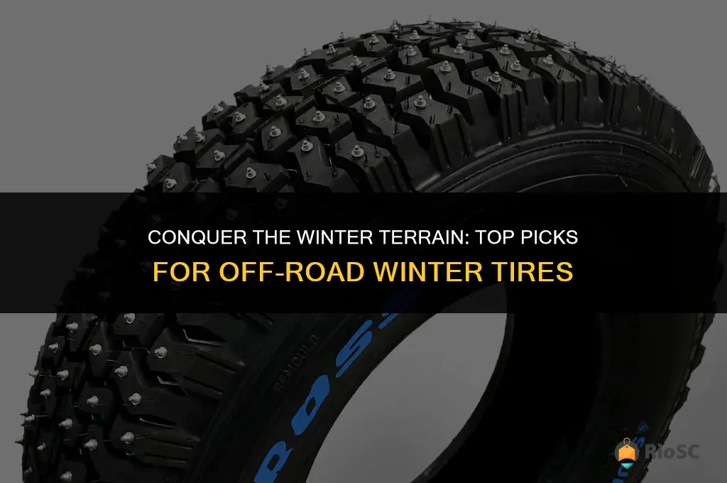 best off road winter tires
