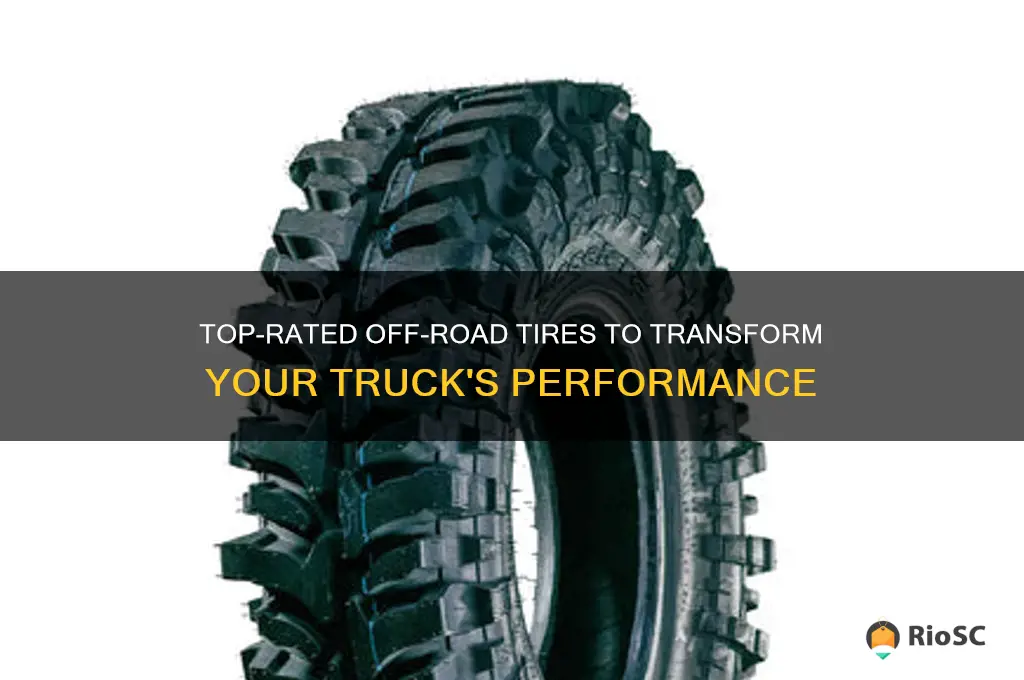 best offroad tires for truck
