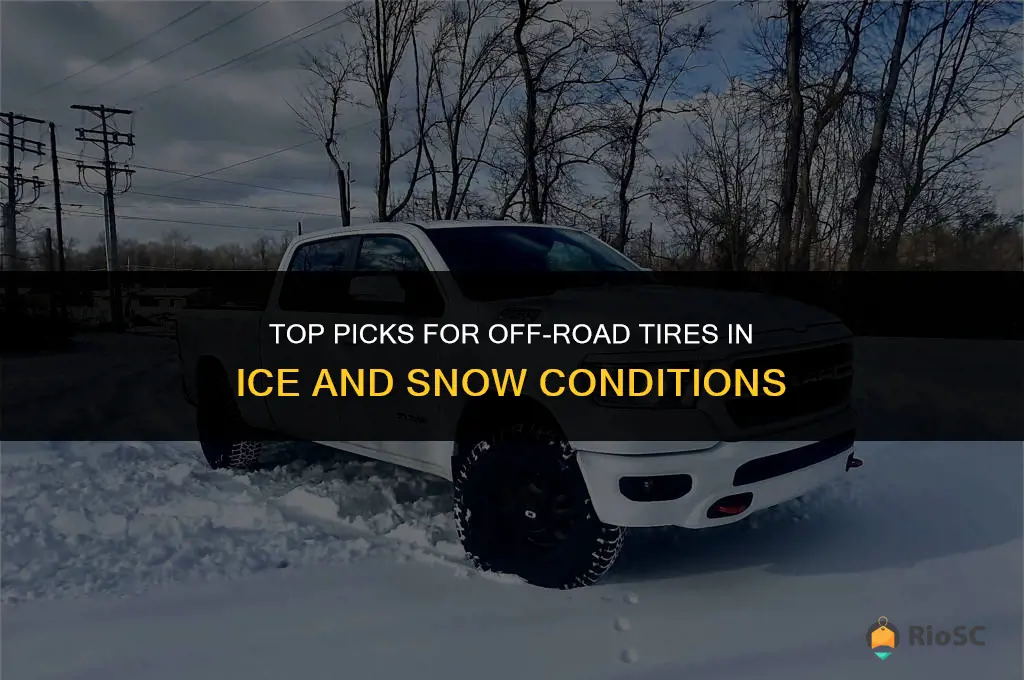 best offroad tires ice snow