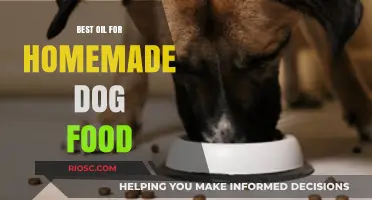 Top Nutritious Oils to Enhance Your Homemade Dog Food Recipes