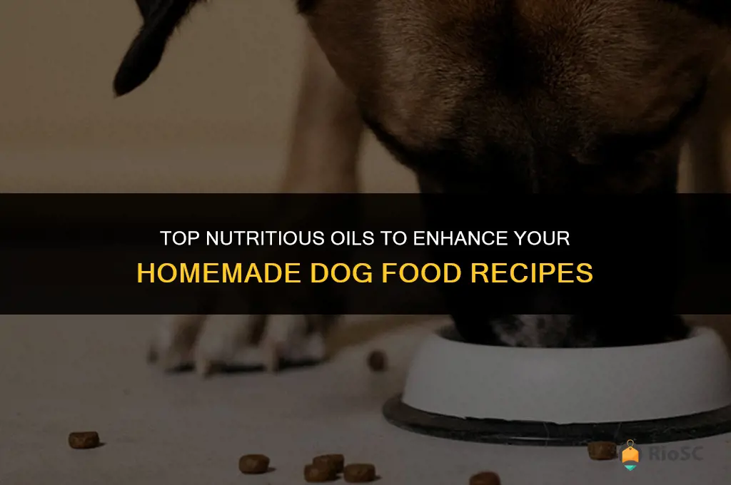 best oil for homemade dog food