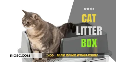 Top Picks for the Best Old Cat Litter Box: Comfort and Convenience for Senior Felines