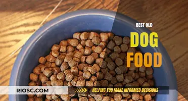 Top Nutritious and Gentle Dog Food Options for Senior Dogs: A Comprehensive Guide