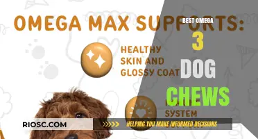 Top Omega 3 Dog Chews for Optimal Canine Health and Shiny Coats