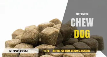 Top Omega Chew Dog Treats: Boost Your Dog's Health and Happiness