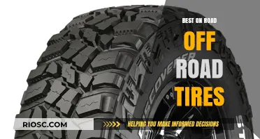 Ultimate Guide to the Best On-Road and Off-Road Tires for Every Adventure