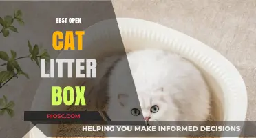 Top Picks for the Best Open Cat Litter Box: Comfort, Cleanliness, and Convenience for Your Feline Friend