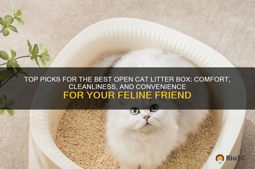 Top Picks For The Best Open Cat Litter Box: Comfort, Cleanliness, And ...