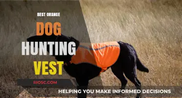 Top-Rated Orange Dog Hunting Vests for Safety and Visibility in the Field