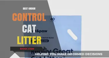 Top Odor-Fighting Cat Litters: Keep Your Home Fresh and Clean
